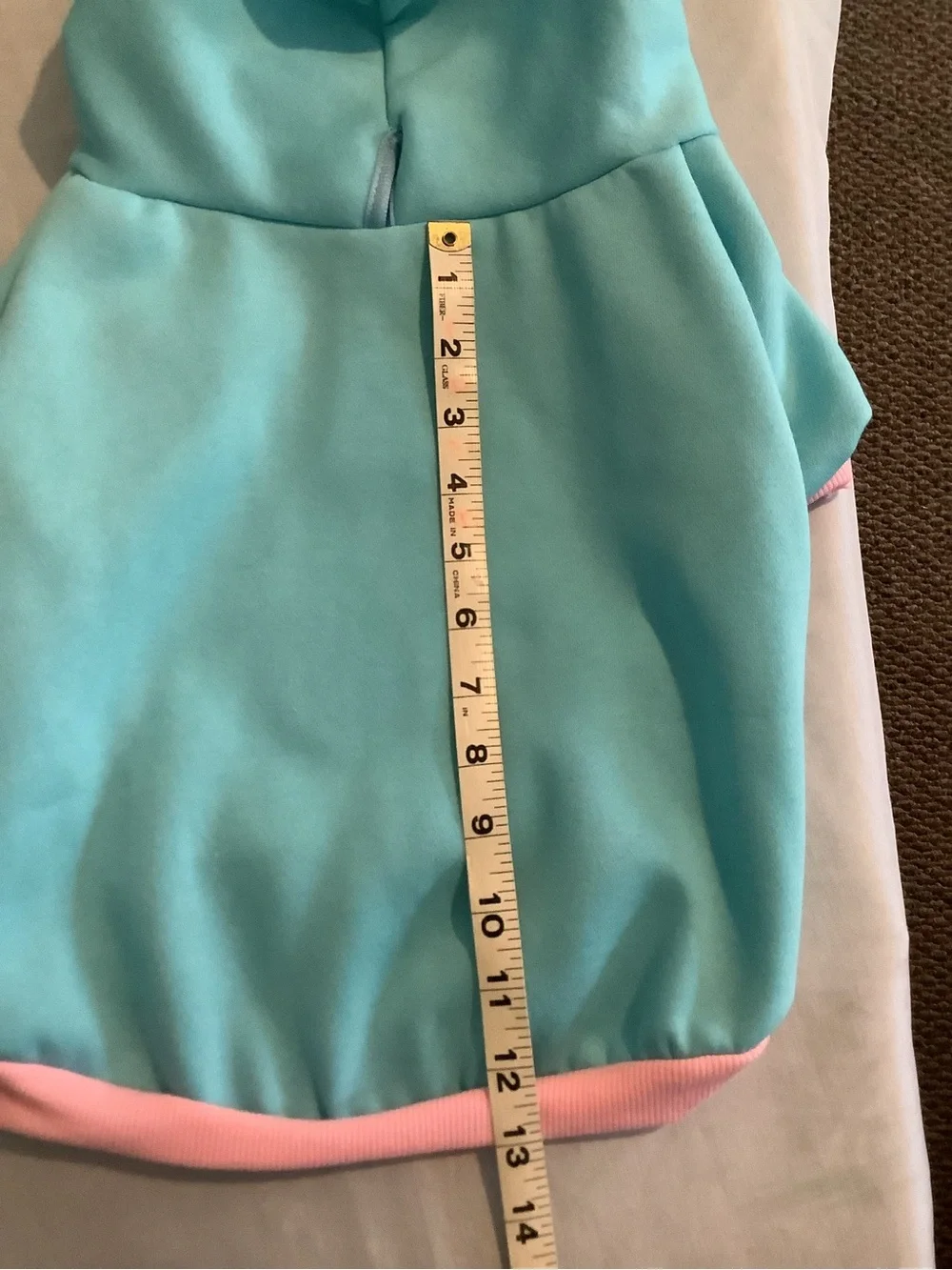 Light Aqua Plush Hoodie - Large